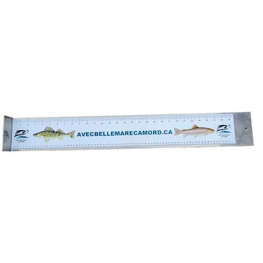 RÈGLE DE MESURE À POISSON (ALUMINIUM)